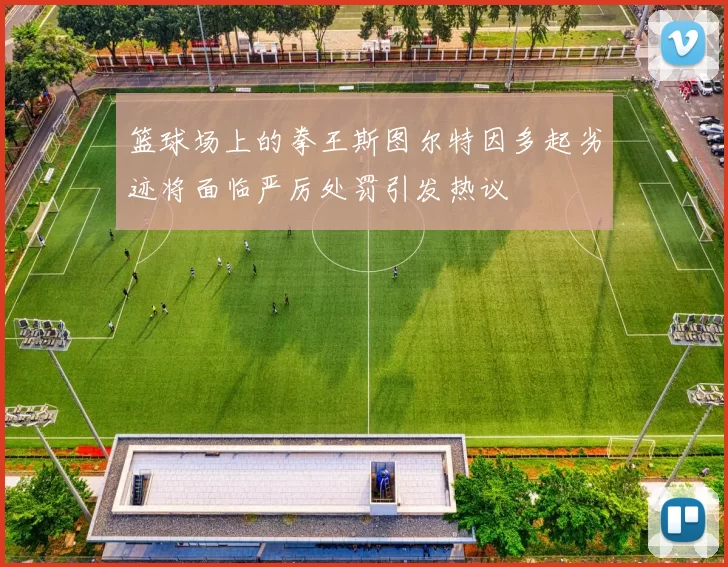 篮球场上的拳王斯图尔特因多起劣迹将面临严厉处罚引发热议